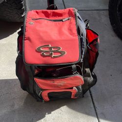 Softball Bag