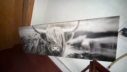 Large cow canvas