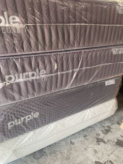 New Queen Purple Restore Premier