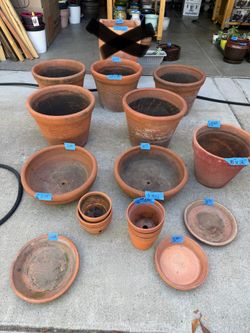 Plants & pots. Indoor/outdoor. Lrg selection of pots