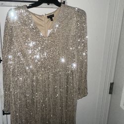 Plus Size Sequin Dress