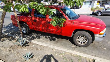 2001 Dodge Dakota