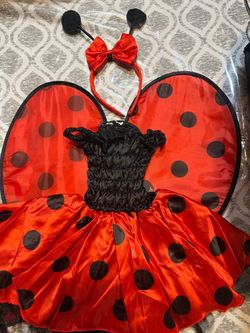 Lady bug costume