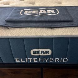 Bear Queen Mattress 14” With Warranty
