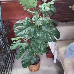 Artficial  Plant