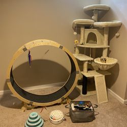 Cat Play Package - ALL For $100 