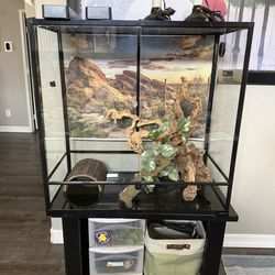 Reptile enclosure 36in by 36in by 17in