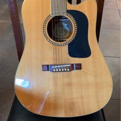 Wasburn Guitar D10SCE