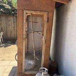 Bird House 