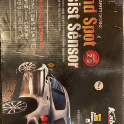 Blind Spot Assist