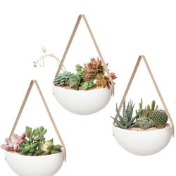 Ceramic Plants Hangers 3 Pcs (Plant Not Included)