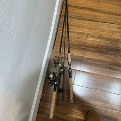 Fishing Rods