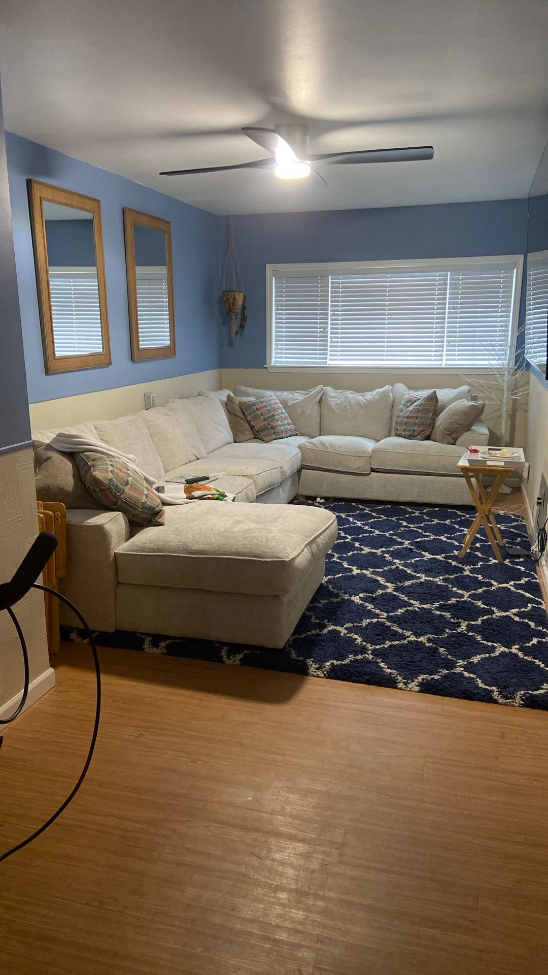 Six month old old cannery down, sectional couch