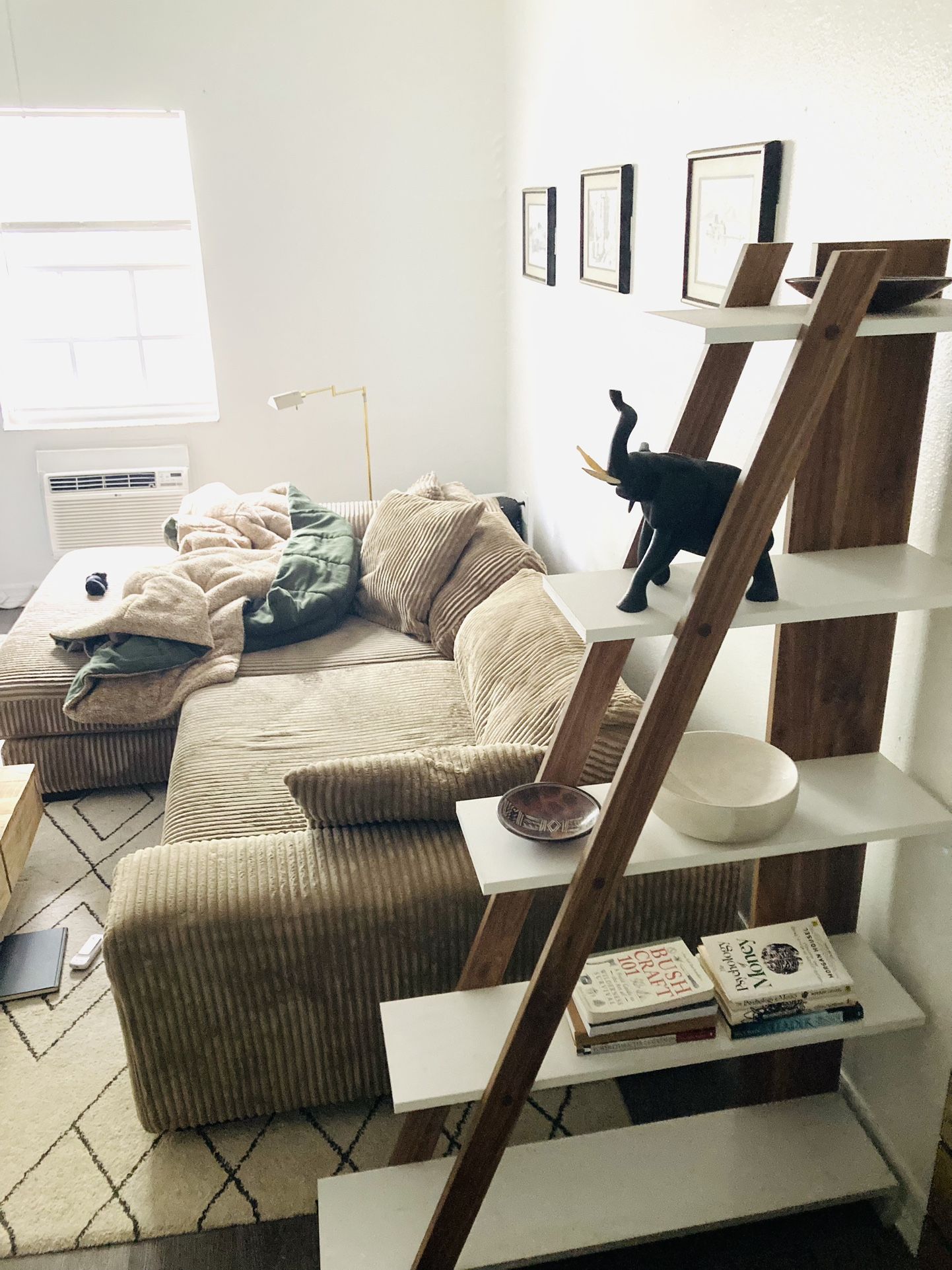 Modern Ladder Shelf