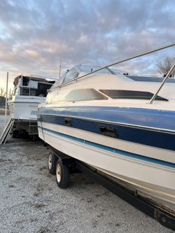 Bayliner Cuddy 