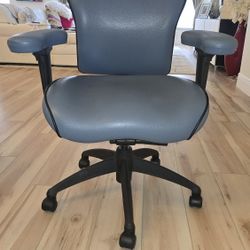 Lifeform Ergonomic Office Chairs (like new)