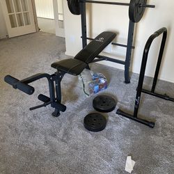 Bench Press And Dip Bar