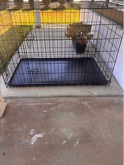 big cage up too 2 big size dogs fit in here