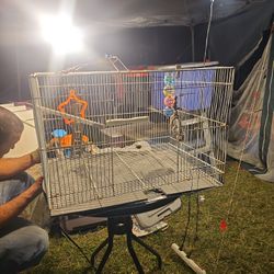 Used Medium Bird Cage