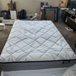 full size bed + box spring and frame