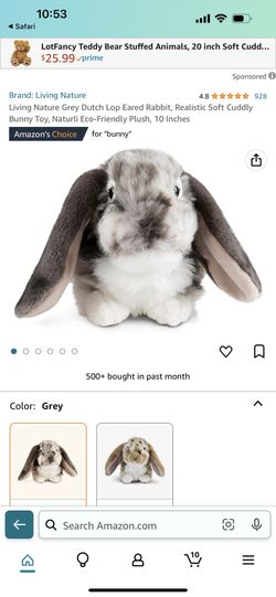 Stuff Animal Bunnie 