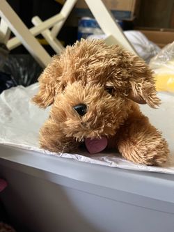 Dog plushy