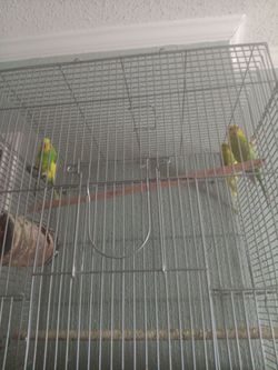For sale