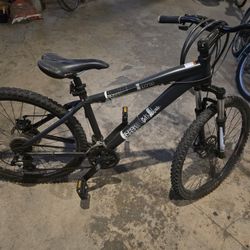 Diamondback Mountain Bike