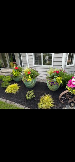 Large Planted Planters