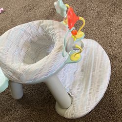 Skip Hop Baby Activity Chair 