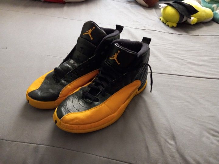 Jordan 12 Shoes