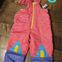 Toddler Girl Insulated Snow Bibs
