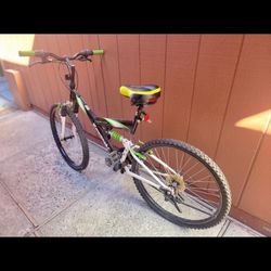 Kawasaki Mountain Bike KDX 126F