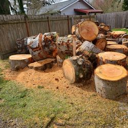 Firewood For Fireplaces And Campfires