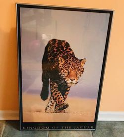 Framed Art:  Jaguar
