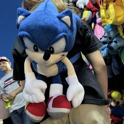 SONIC Back Pack