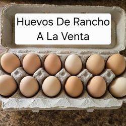 Huevos De Rancho