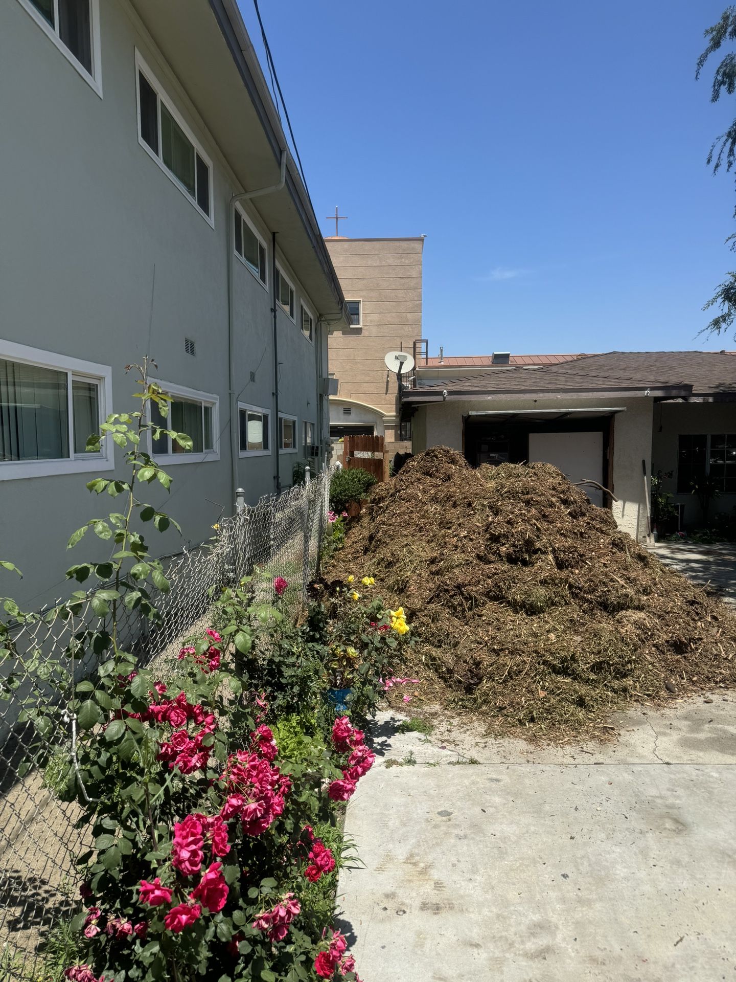 Free Woodchips