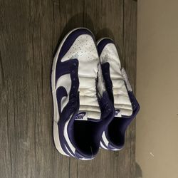 Nike Dunks Court Purple Size 9.5
