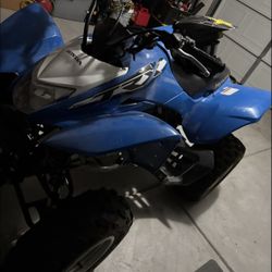 Honda TRX 250