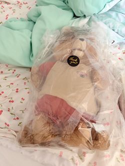 Large Teddy Ruxpin