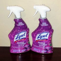 Lysol Disinfecting Spray $3.50 Each- X Streets Ray and Higley