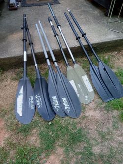 Pescador 100