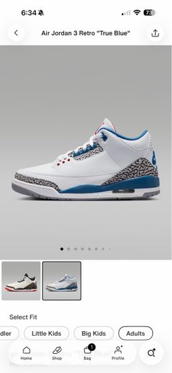 Jordan 3 true blue