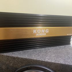 New Kong Audio 5000w Rms Korean Monoblock Class D Amplifier $400 Each 
