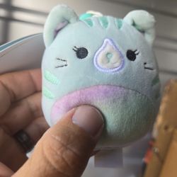 Squishmallows Corinna Kitty Cat Brand New 