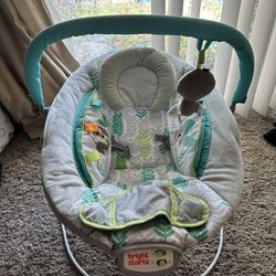Baby Bouncer