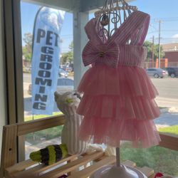 Dog Attire, Clothes, Dog Leash, Dog Brushing 