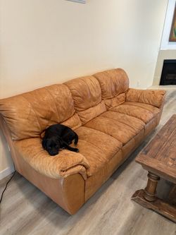 Real leather couch