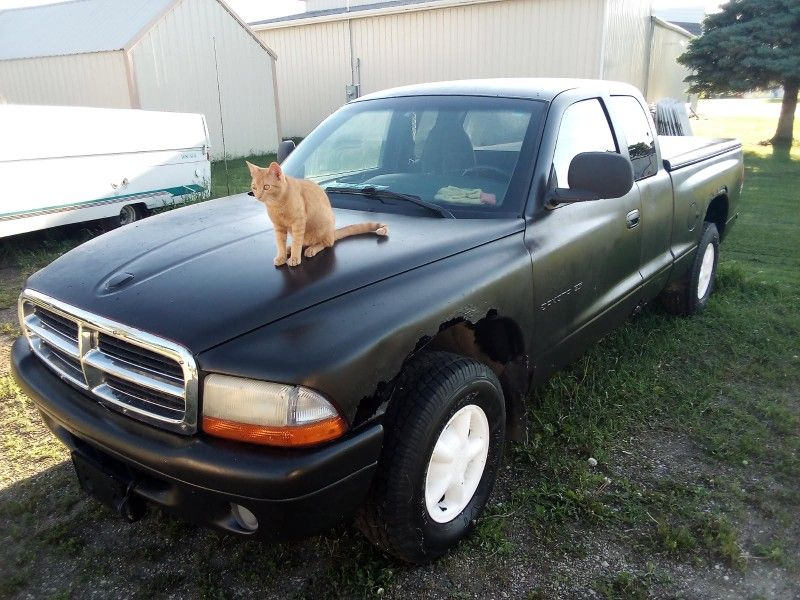 1998 Dodge Dakota